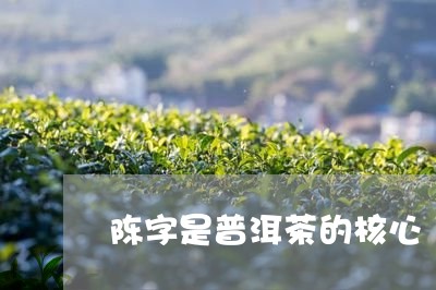 陈字是普洱茶的核心/2023120517151