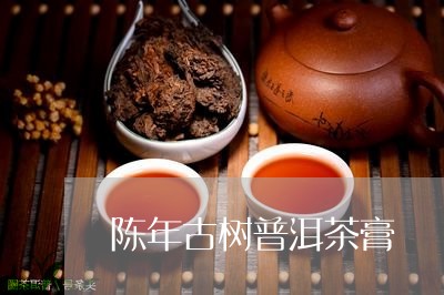 陈年古树普洱茶膏/2023110990484