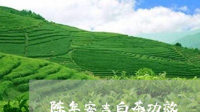 陈年安吉白茶功效/2023071176060