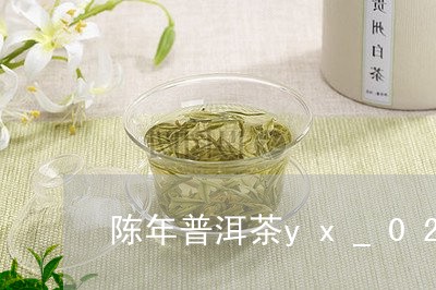 陈年普洱茶yx_02/2023100504947