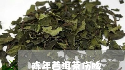 陈年普洱茶伤脾/2023102661603