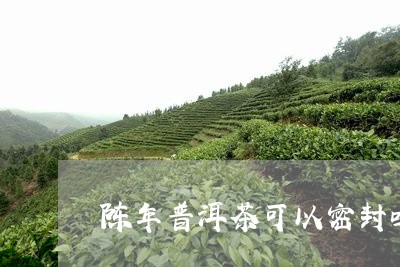 陈年普洱茶可以密封吗/2023062402735