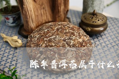 陈年普洱茶属于什么茶/2023062896382