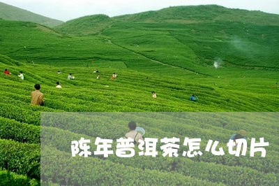 陈年普洱茶怎么切片/2023071181606