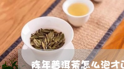 陈年普洱茶怎么泡才正确/2023050651615