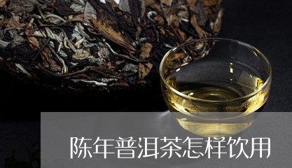 陈年普洱茶怎样饮用/2023120561635