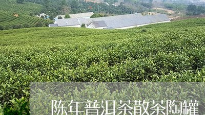 陈年普洱茶散茶陶罐/2023120574025