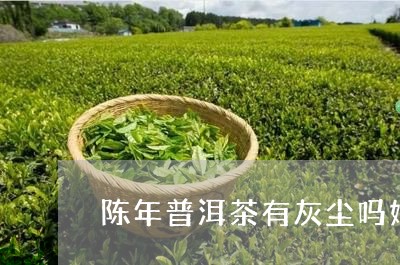 陈年普洱茶有灰尘吗好吗/2023121859937