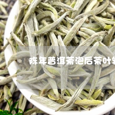 陈年普洱茶泡后茶叶软/2023062193147