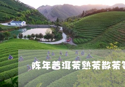 陈年普洱茶熟茶散茶等级/2023082701584