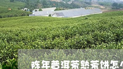 陈年普洱茶熟茶饼怎么储存最好喝/2023110391602