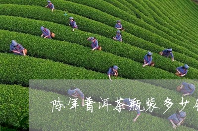 陈年普洱茶瓶装多少钱/2023062255158