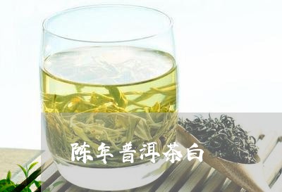 陈年普洱茶白/2023042685505