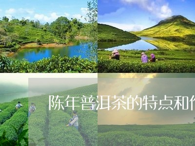 陈年普洱茶的特点和作用/2023081781606