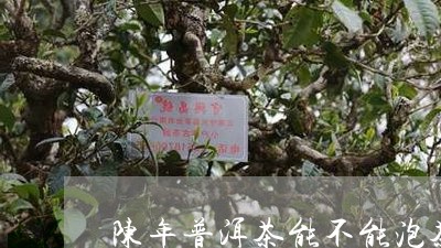 陈年普洱茶能不能泡茶叶/2023121811695