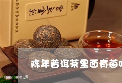 陈年普洱茶里面有菌吗/2023062230493