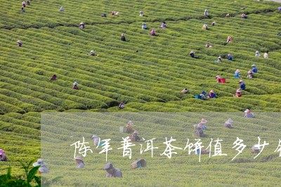 陈年普洱茶饼值多少钱/2023092711926