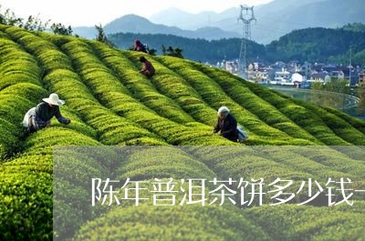 陈年普洱茶饼多少钱一个/2023050635038