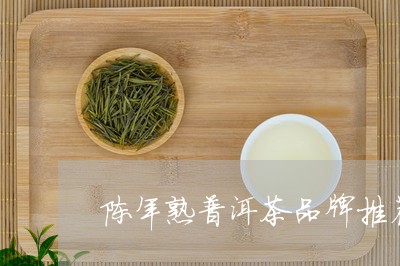 陈年熟普洱茶品牌推荐/2023080262715