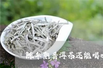 陈年熟普洱茶还能喝吗/2023081644736