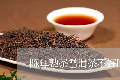 陈年熟茶普洱茶不好喝/2023080342805