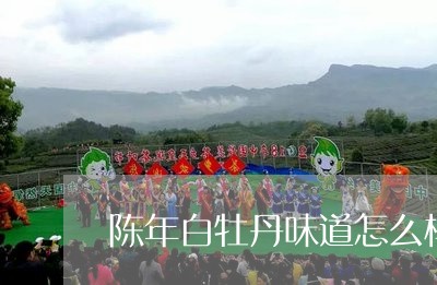 陈年白牡丹味道怎么样/2023091743896