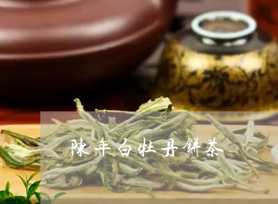 陈年白牡丹饼茶/2023061183827