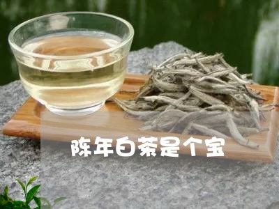 陈年白茶是个宝/2023061085938