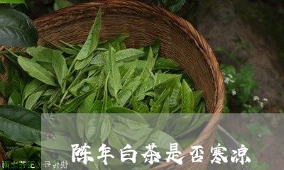 陈年白茶是否寒凉/2023071162825