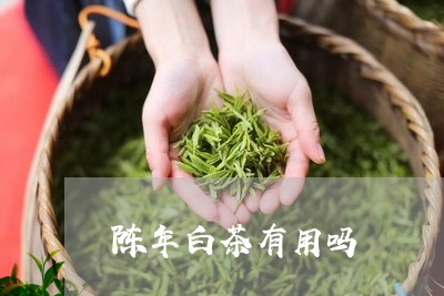 陈年白茶有用吗/2023061085137