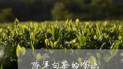 陈年白茶的喝法/2023061063137