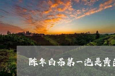 陈年白茶第一泡是黄色原因/2023073074925