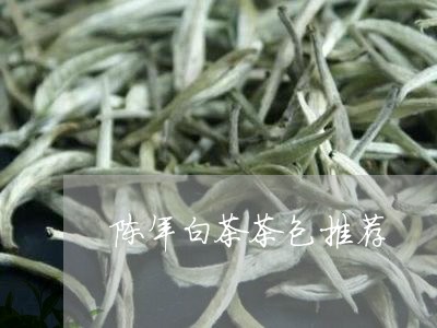 陈年白茶茶包推荐/2023071131735