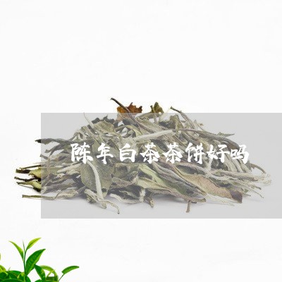 陈年白茶茶饼好吗/2023071194037