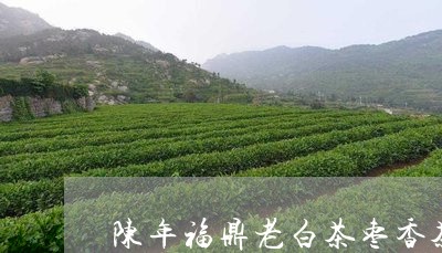 陈年福鼎老白茶枣香茶砖/2023092444068