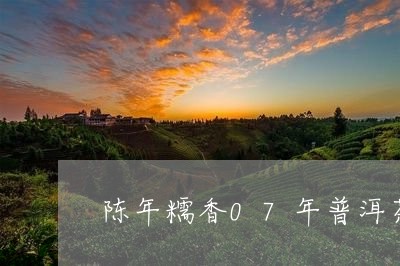 陈年糯香07年普洱茶/2023092973837