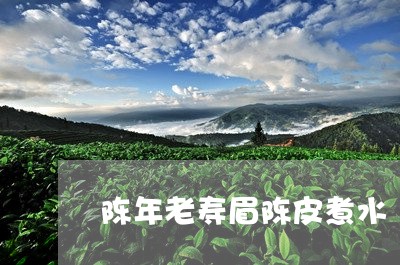 陈年老寿眉陈皮煮水/2023091302703