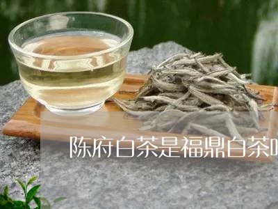 陈府白茶是福鼎白茶吗/2023082514936