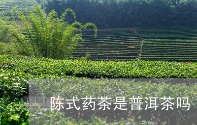 陈式药茶是普洱茶吗/2023091547369