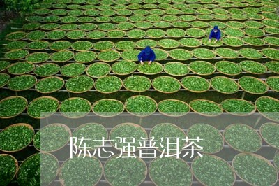 陈志强普洱茶/2023042863368