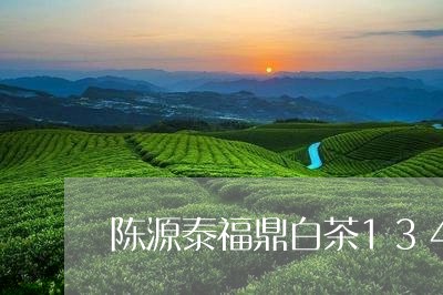 陈源泰福鼎白茶1346/2023092151814