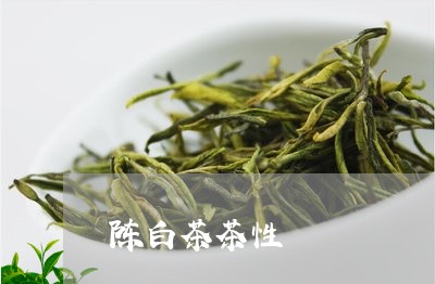 陈白茶茶性/2023051116350