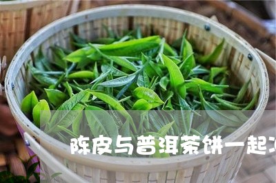 陈皮与普洱茶饼一起冲泡/2023082423827