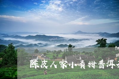 陈皮人家小青柑普洱茶/2023120637470