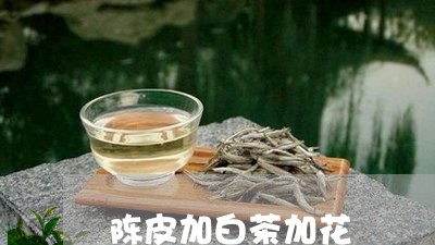 陈皮加白茶加花/2023063025036