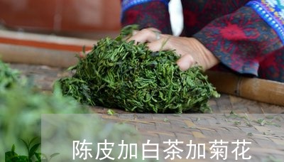 陈皮加白茶加菊花/2023071395050