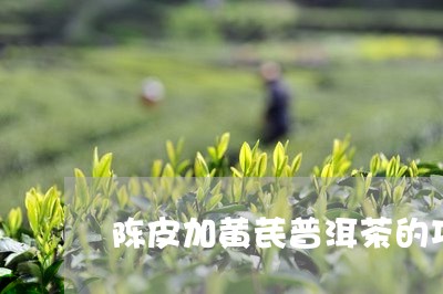 陈皮加黄芪普洱茶的功效/2023110136593