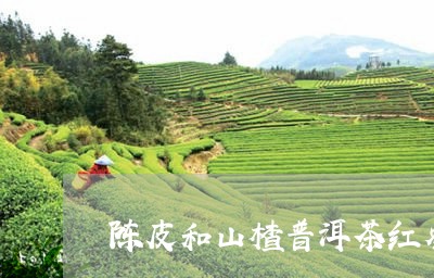 陈皮和山楂普洱茶红枣/2023120624383