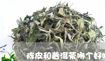 陈皮和普洱茶哪个好喝/2023080394026