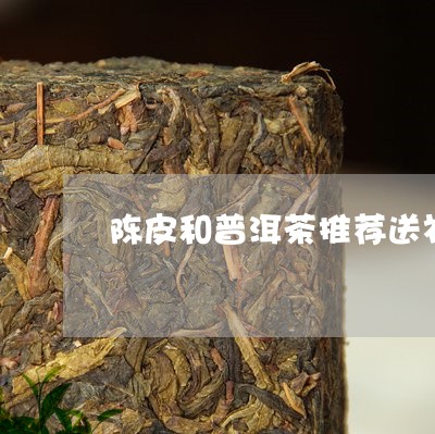 陈皮和普洱茶推荐送礼/2023100683927